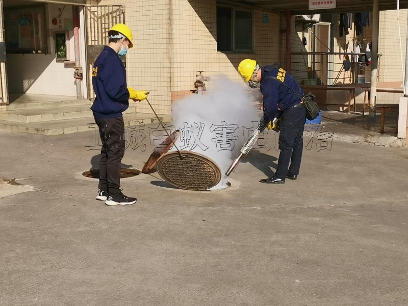 惠州惠阳杀虫公司_惠阳区除虫公司优质服务