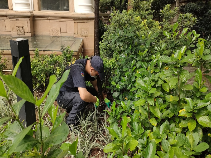 博罗县别墅白蚁防治-博罗白蚁防治中心电话-卫城白蚁防治技师团队携高端白蚁检测设备上门检测治理