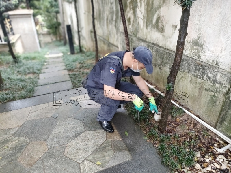 虎门防治白蚁,长安白蚁防治,厚街灭白蚁